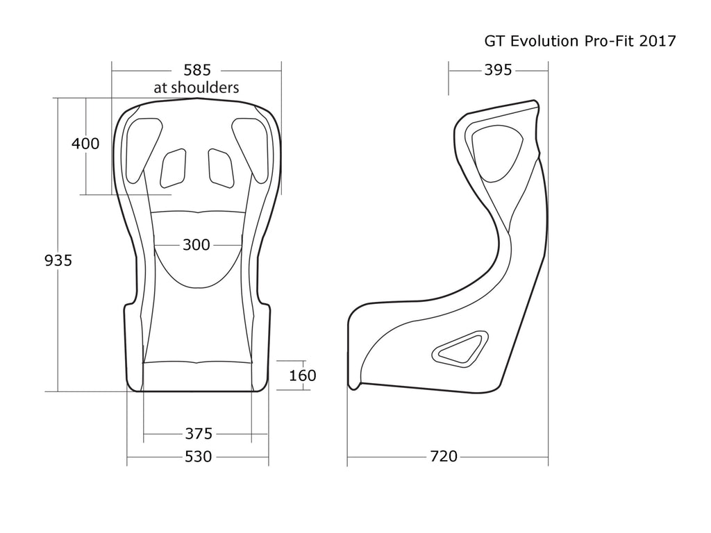 Cobra Evolution T Fiberglass Racing Seat | FIA 8855-1999 — view 3