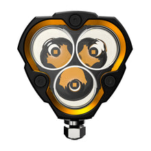 Load image into Gallery viewer, User 1