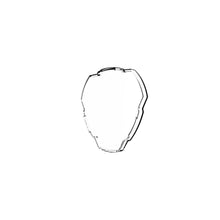 Load image into Gallery viewer, 5319_Cover_Grill_Shield_2.jpg