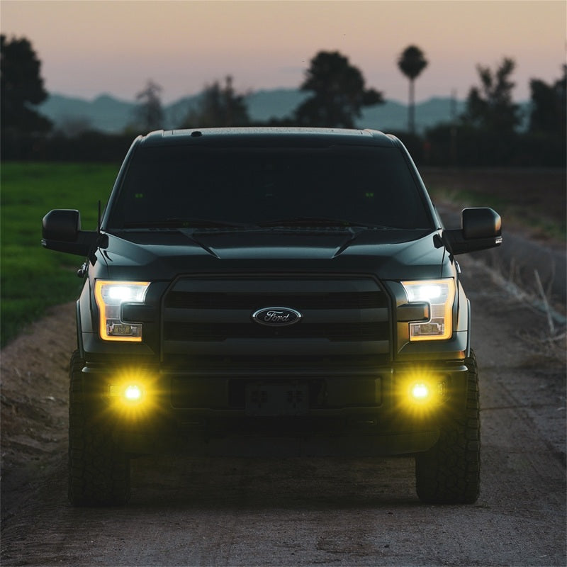 RIGID Industries D-Series SAE Fog Yellow/White Pair