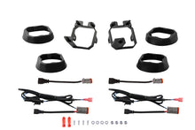 Load image into Gallery viewer, Photo - Primary