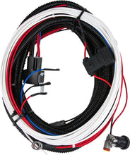 Load image into Gallery viewer, RIGID Industries 25in Harness with 3 position switch use with D/ SRM or SRQ for Back up Lights
