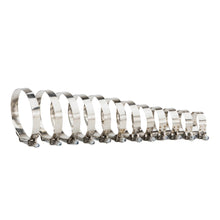 Load image into Gallery viewer, RPM Replacement T-Bolt Clamps