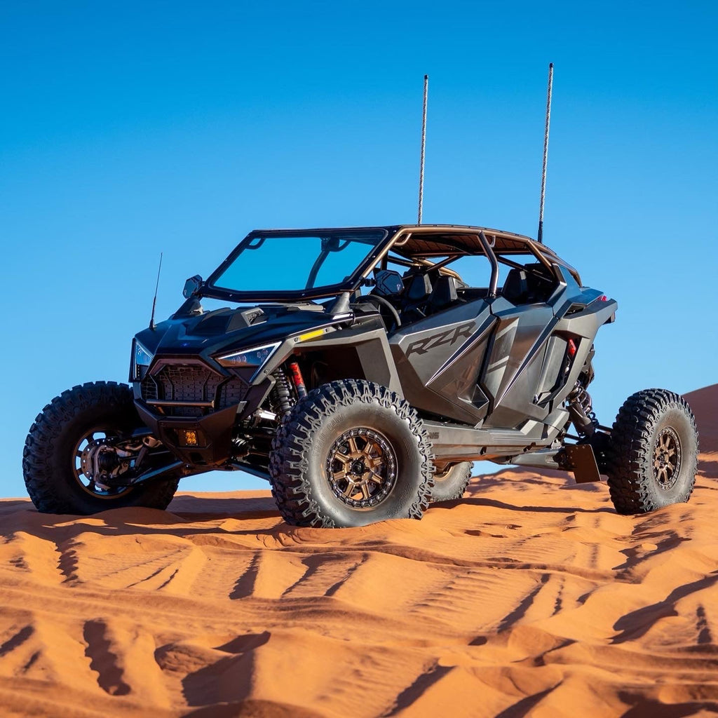 Pro R 4-Seat "FastBack" Roll Cage