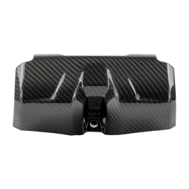 RPM Carbon Fiber Kawasaki H2 Seat Belt Covers (2pc)