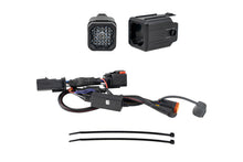 Load image into Gallery viewer, Diode Dynamics HitchMount LED Pod 10-Pin Reverse Kit C1R