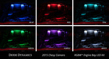 Load image into Gallery viewer, User 4